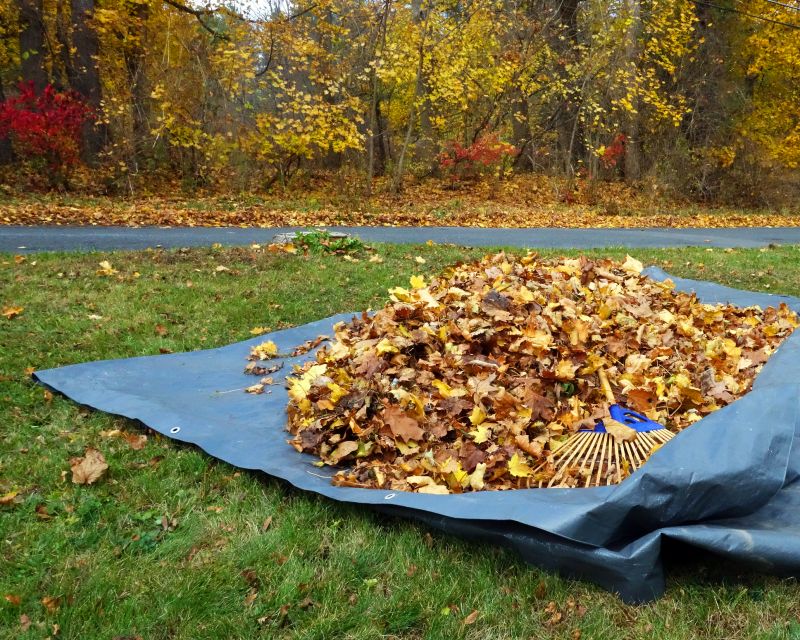 Seasonal Leaf Removal