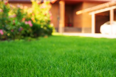 Clean Lawn in Brentwood