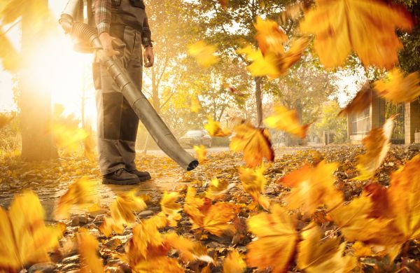 Cost of Leaf Blowing Service in Brentwood