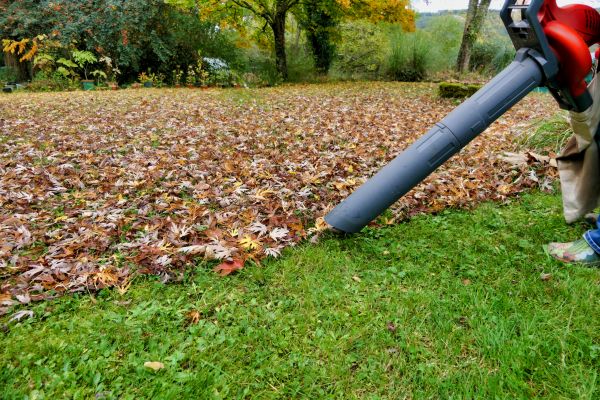 Cost of Leaf Vacuuming Service in Brentwood