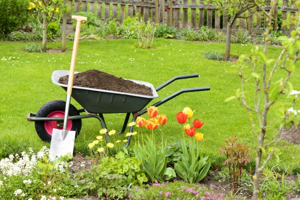 Cost of Spring Yard Cleanup in Brentwood