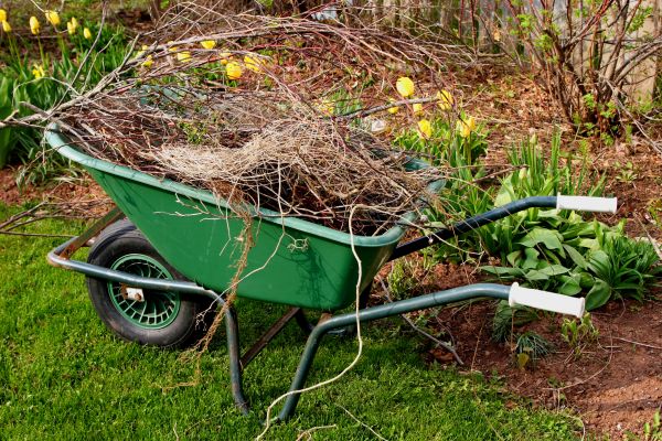 Cost of Lawn Waste Removal in Brentwood