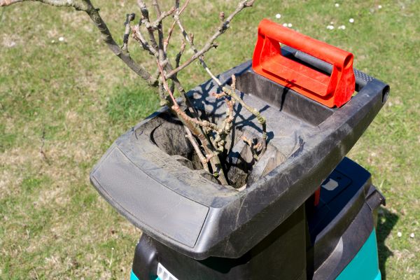 Cost of Brush Cleanup Service in Brentwood