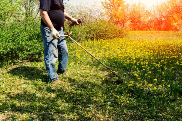 Cost of Yard Clearing Service in Brentwood